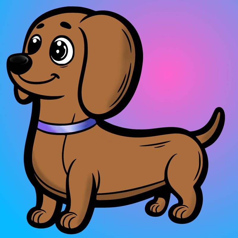 sausage dog