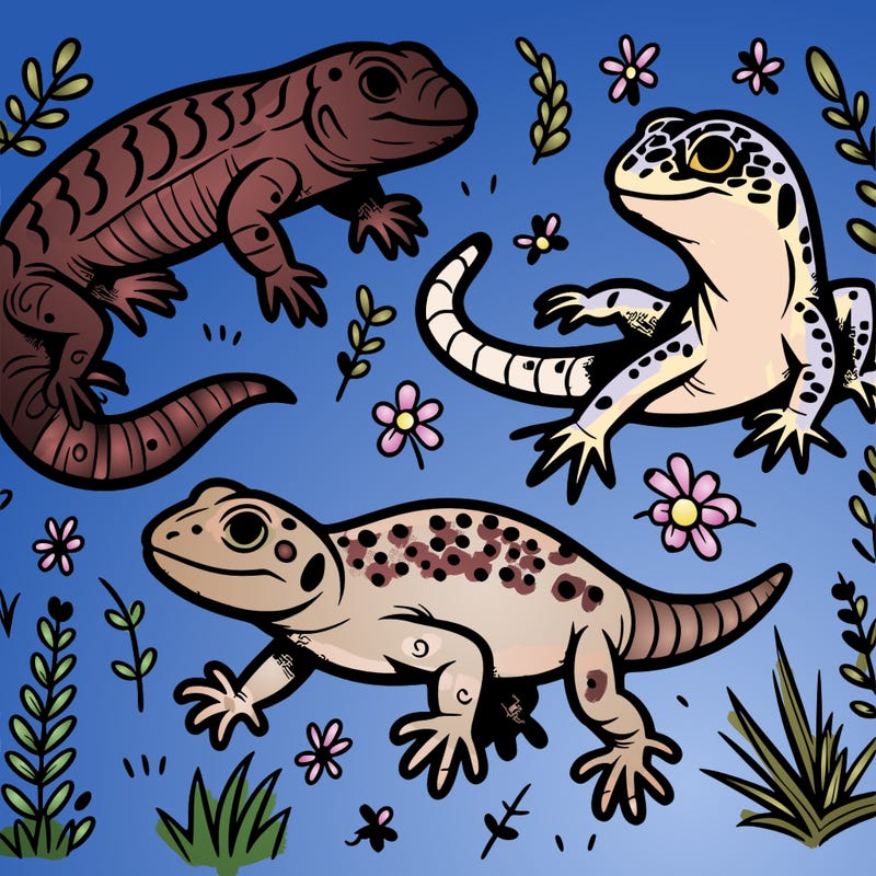 lizards