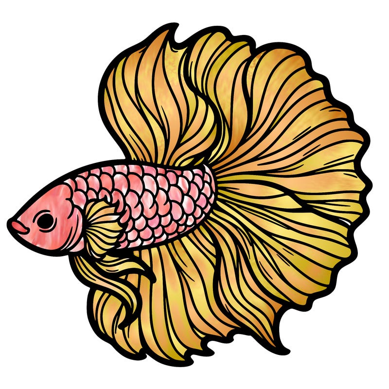 betta fish