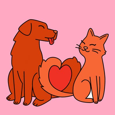 animals_22