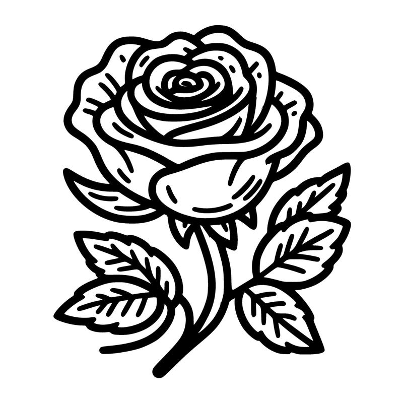 rose flower