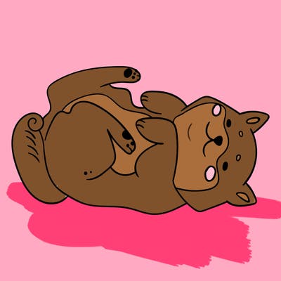 animals_30