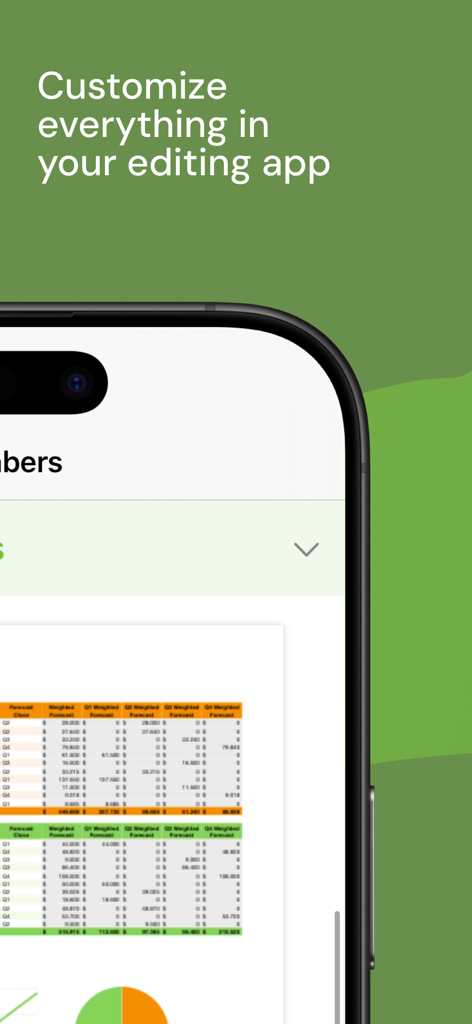 Templates for Numbers Pro - Eine anpassbare Finanztabellenkalkulationsvorlage, angezeigt auf einem iPhone-Bildschirm.