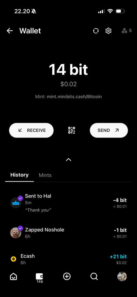 Iris – The Nostr client - Bitcoin wallet interface in the Iris Nostr client app showing balance and transaction history including zaps and ecash.