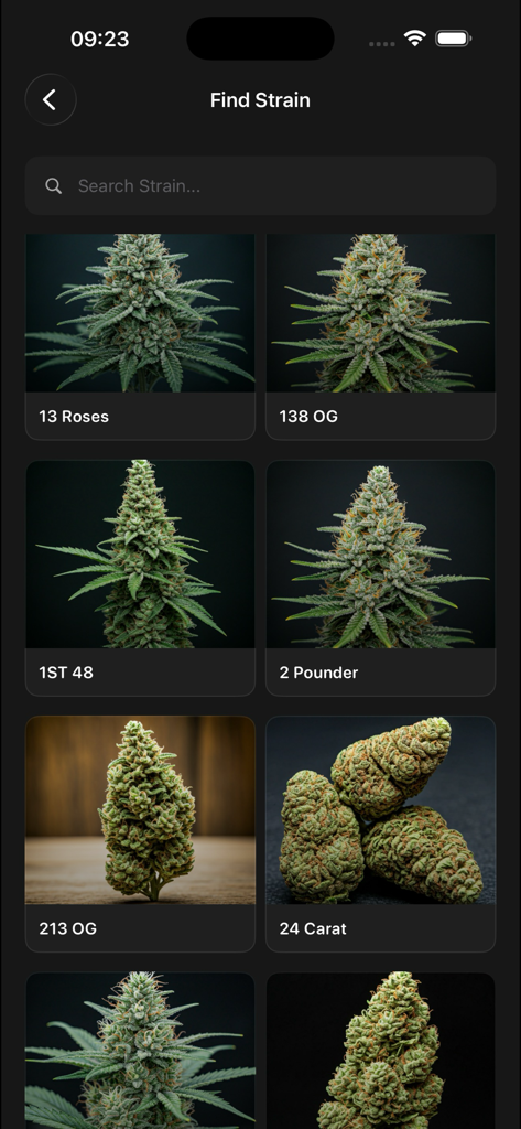 Canopy - Strain Tracker - Interfaz de búsqueda de cepas de cannabis en la aplicación Canopy con una cuadrícula de imágenes y nombres de cepas de alta calidad