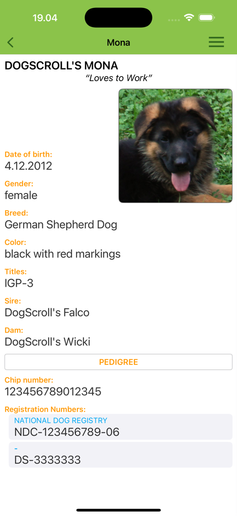 A detailed dog profile screen in the DogScroll app showing pedigree information and registration numbers for a German Shepherd