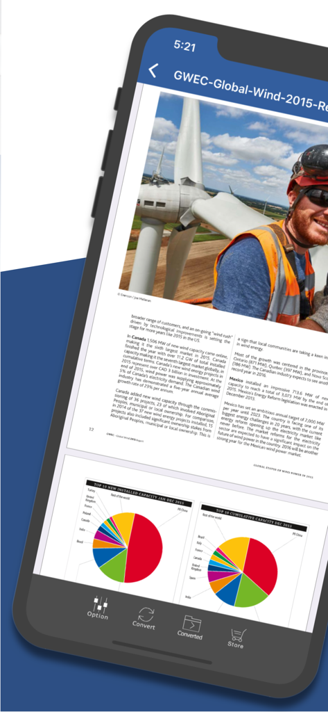 PDF to Word by Flyingbee - Mobile app interface showing a PDF document with charts and text ready for conversion to Word