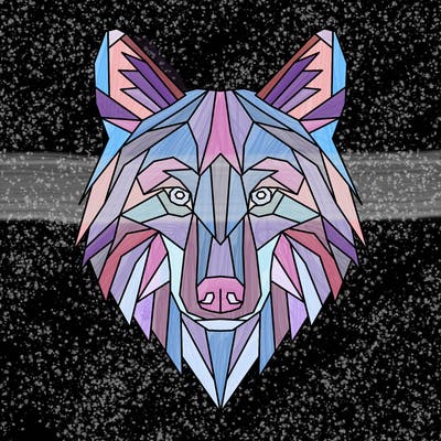 animals_01