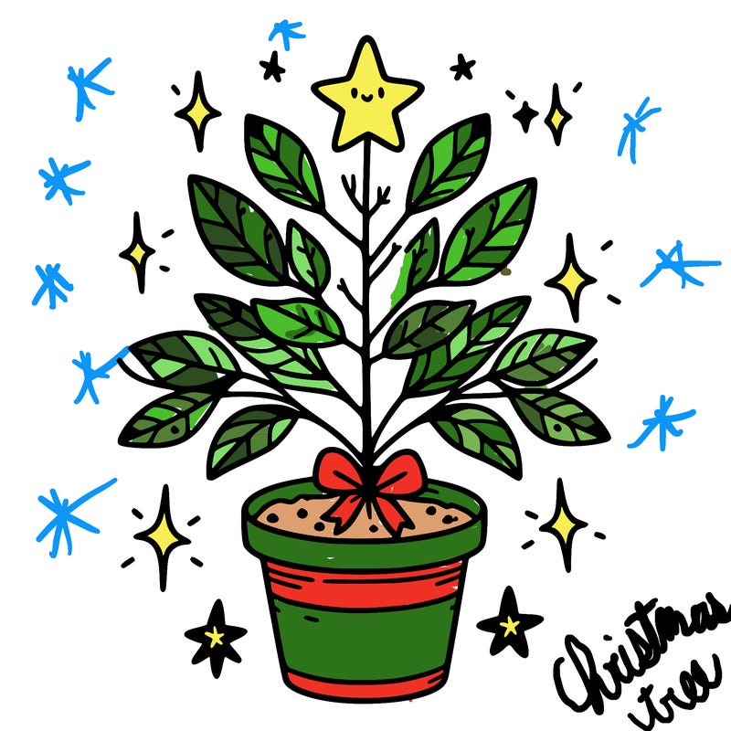 christmas plant