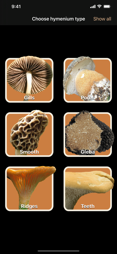 Fungi - A selection screen in the Fungi app for choosing hymenium types such as gills pores smooth gleba ridges and teeth