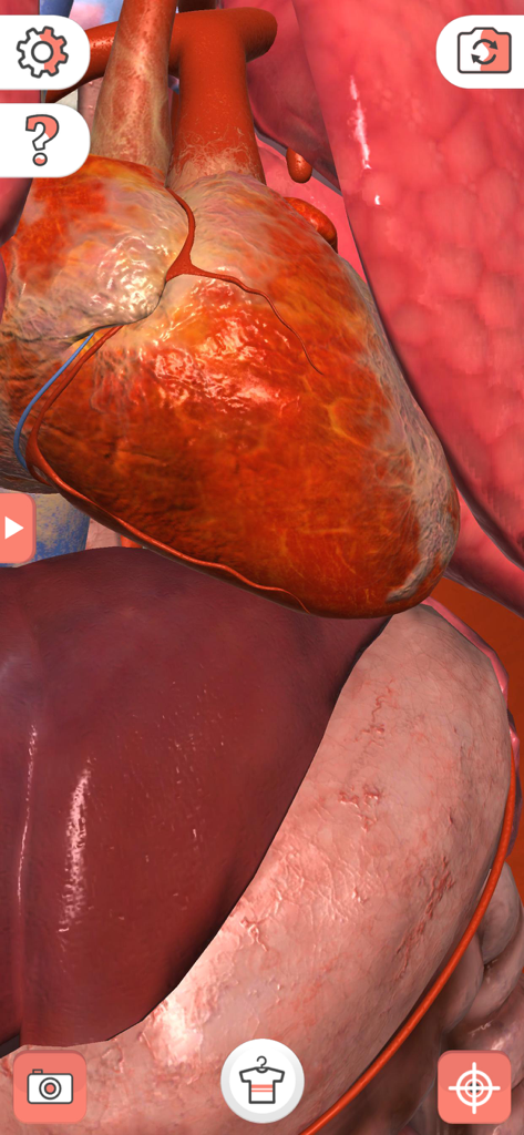 Modelo 3D del corazón humano en la app de realidad aumentada Camiseta Mágica