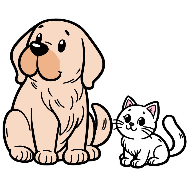 dog and cat
