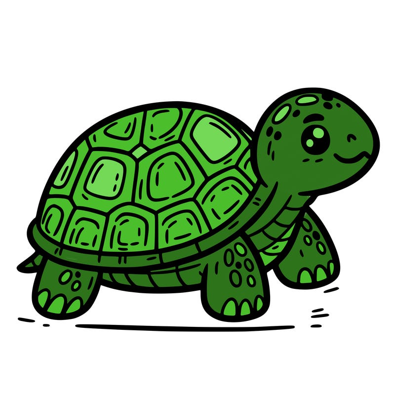 turtle