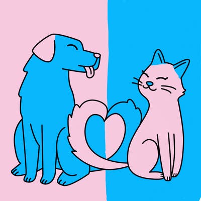 animals_22