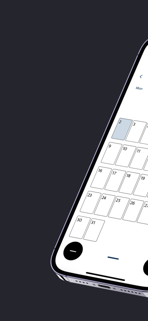 Monthly calendar view of Simple Budget app on an iPhone for tracking daily expenses