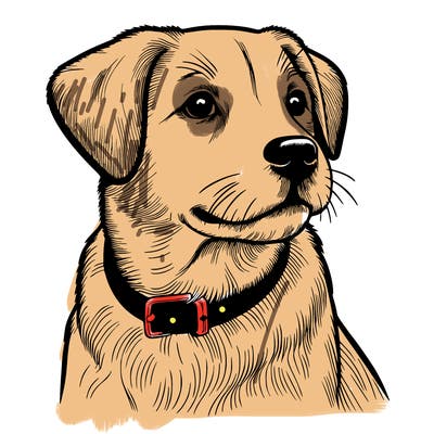 dog realistic