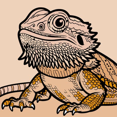 bearded dragon