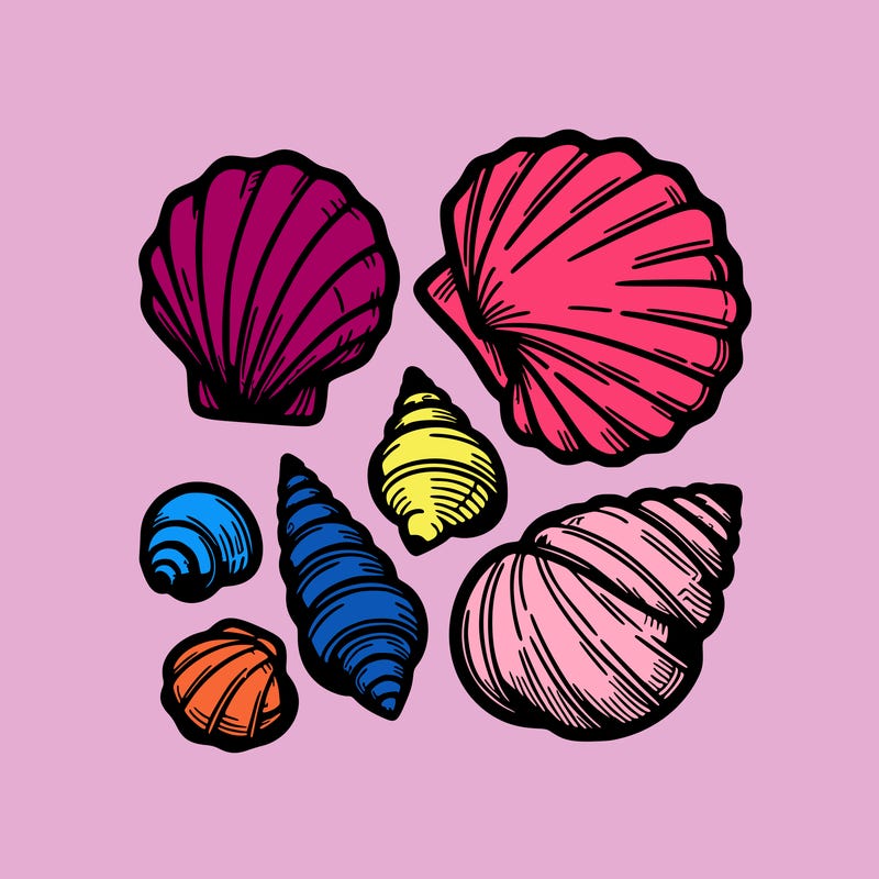 shells