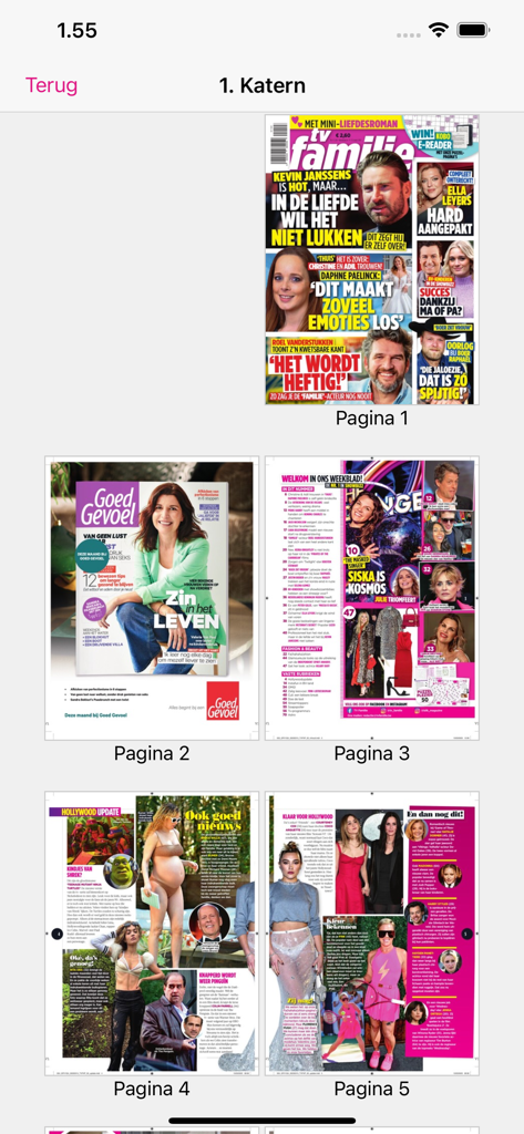 TV Familie - Una vista general digital de las páginas de la revista dentro de la aplicación TV Familie, incluyendo portadas y artículos de noticias de celebridades