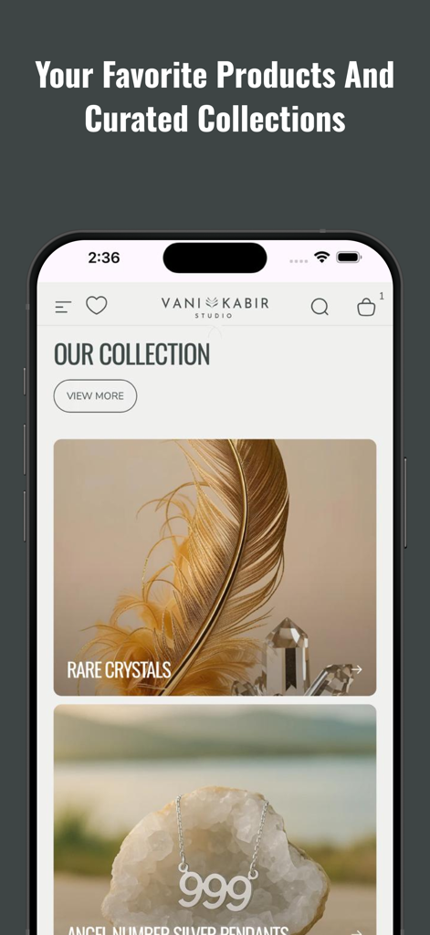 VANI KABIR STUDIO - Vani Kabir Studio app screen showing rare crystals and angel number silver pendants collections.