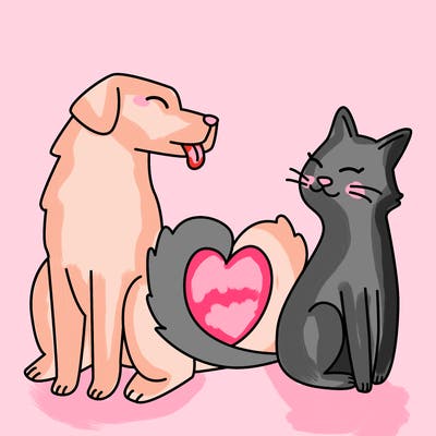 animals_22
