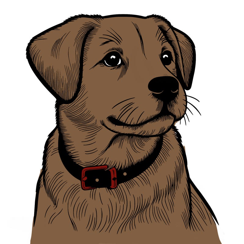 dog realistic