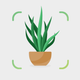 Plant ID: Plant Identifier AI
