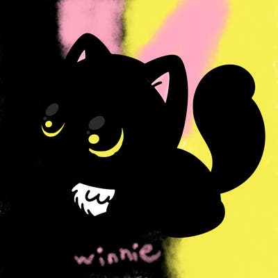 cat