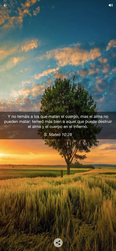 Spanischer Bibelvers aus Matthäus 10,28 vor einem Sonnenuntergangs-Landschaftshintergrund mit einem einzelnen Baum und einem Weizenfeld.