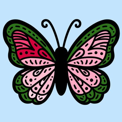 butterfly