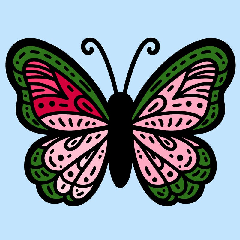 butterfly