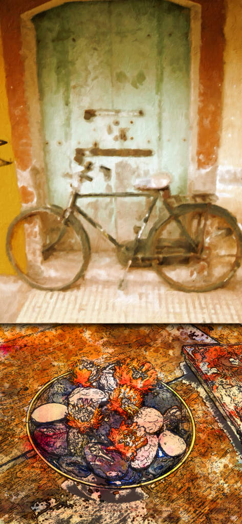 PhotoArtista - Oil - A comparison of a bicycle and a still life transformed into oil paintings using the PhotoArtista app