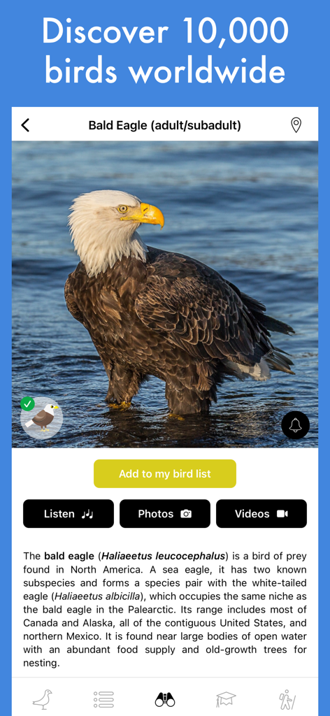 Smart Bird ID: Bird Identifier - Bald Eagle species profile in the Smart Bird ID app with photo and bird identification details.