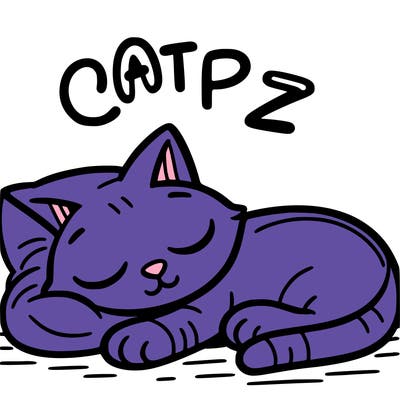 catnap
