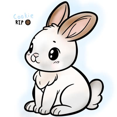 bunny