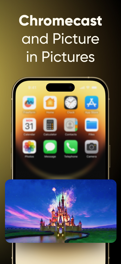 IPTV Streamer Pro - IPTV Streamer Pro avec fonctionnalités Chromecast et image dans l'image (PiP)