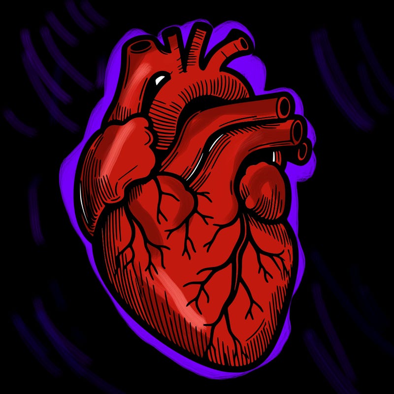 a realistic human heart