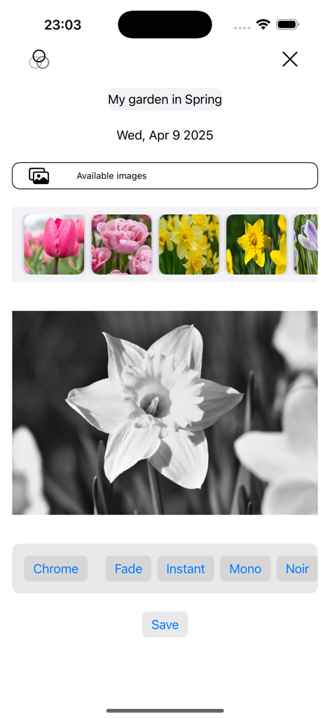 My garden year - Adding a photo to a garden journal entry with spring flower filter options
