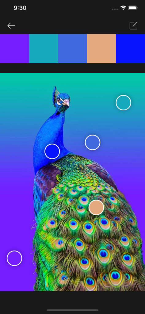 无限色卡-配色无忧 - A screen showing the extraction of a color palette from a peacock photo using color pickers