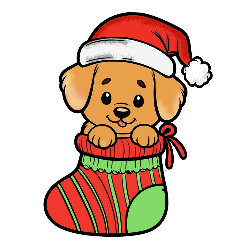 cute puppy wearing santa hat in socking