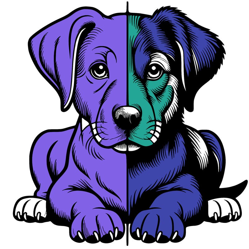 realistic dog split picture