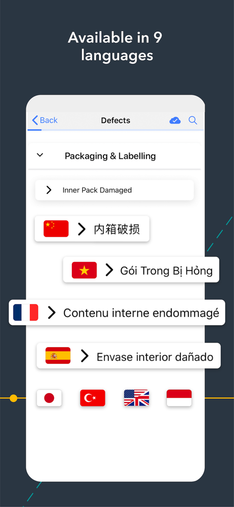 Pivot88 - Pivot88 mobile app interface demonstrating defect reporting in nine different languages
