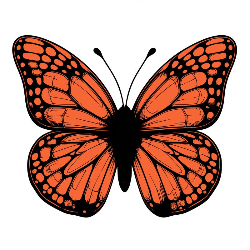 butter fly realistic