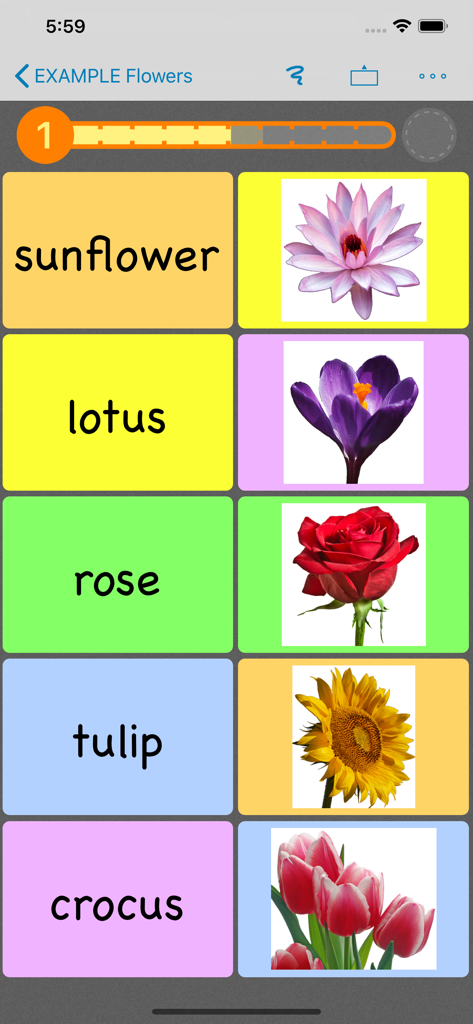 Flashcards by NKO: Flash Cards - Educational flower matching game interface in the Flashcards by NKO app