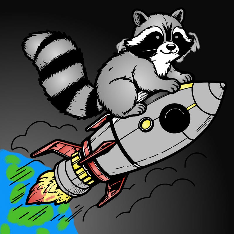 realistic raccoon flying on top rocket ship