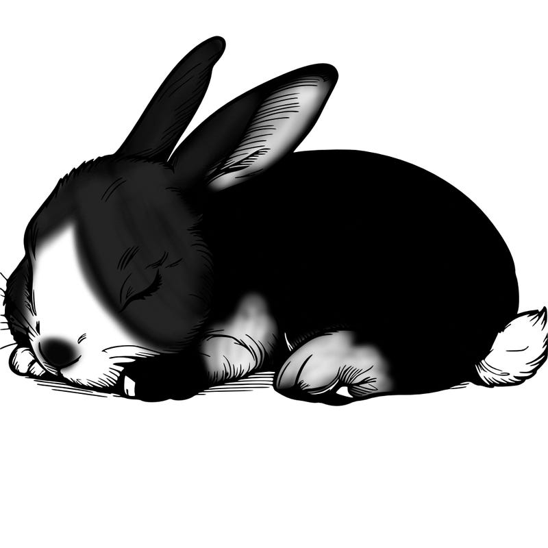 a realistic beautiful sleeping rabbit