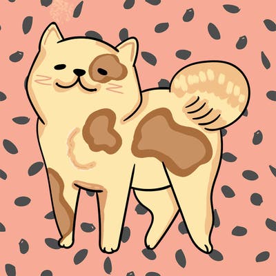 animals_29