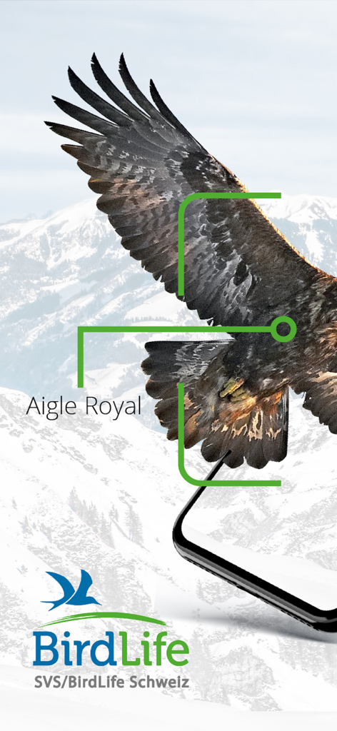 Vogelführer Birdlife Schweiz - スイスアルプス上空のイヌワシの拡張現実識別