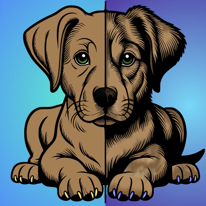 realistic dog split picture