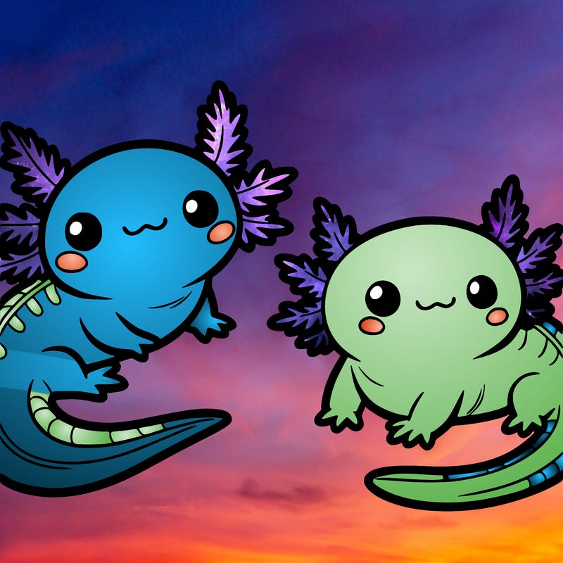 cute axolotls